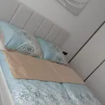Apartment Rodinka